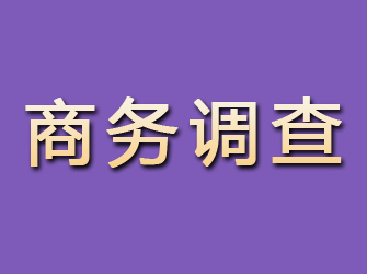 沾化商务调查